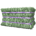 Alfalfa Hay - Image 4